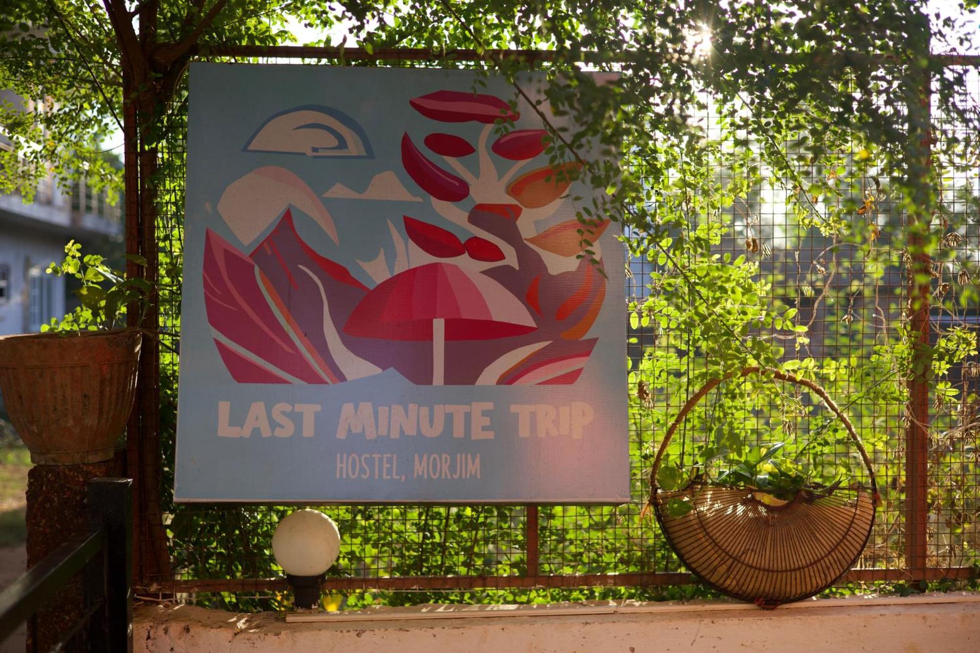 Last Minute Trip Morjim *